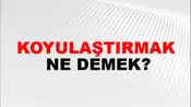 Koyulaştırmak