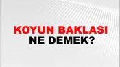 Koyun Baklası