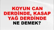 Koyun Can Derdinde, Kasap Yağ Derdinde