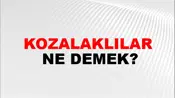Kozalaklılar