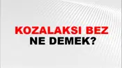 Kozalaksı Bez