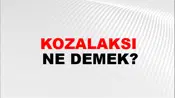 Kozalaksı