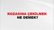 Kozasına Çekilmek