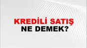 Kredili Satış