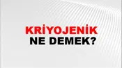 Kriyojenik