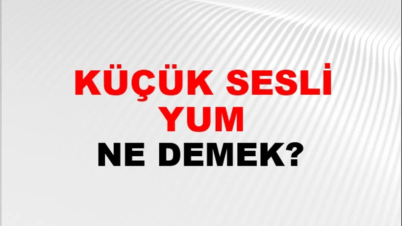 Küçük Sesli Uyumu Küçük Sesli Uyumu