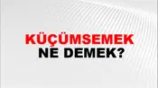 Küçümsemek