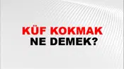 Küf Kokmak