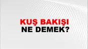 Kuş Bakışı