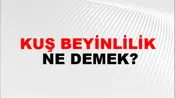 Kuş Beyinlilik