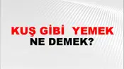Kuş Gibi (Veya kadar) yemek