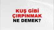 Kuş Gibi Çırpınmak
