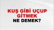 Kuş Gibi Uçup Gitmek (Veya uçmak)