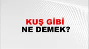Kuş Gibi