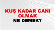 Kuş Kadar Canı Olmak