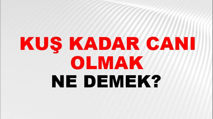 Kuş Kadar Canı Olmak Kuş Kadar Canı Olmak