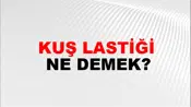 Kuş Lastiği