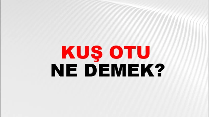 Kuş Otu Kuş Otu