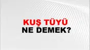 Kuş Tüyü