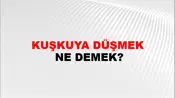 Kuşkuya Düşmek