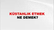 Küstahlık Etmek