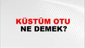 Küstüm Otu
