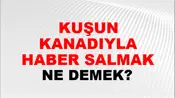 Kuşun Kanadıyla Haber Salmak