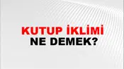 Kutup İklimi