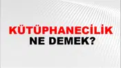 Kütüphanecilik