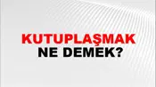 Kutuplaşmak
