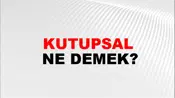 Kutupsal