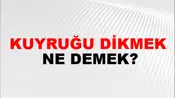 Kuyruğu Dikmek