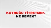 Kuyruğu Titretmek