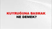 Kuyruğuna Basmak