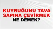 Kuyruğunu Tava Sapına Çevirmek