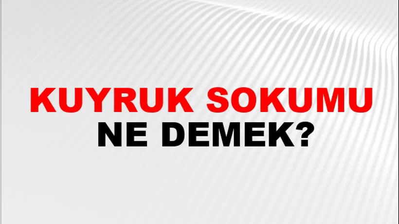 Kuyruk Sokumu Kuyruk Sokumu