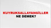 Kuyruksallayangiller