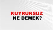 Kuyruksuz