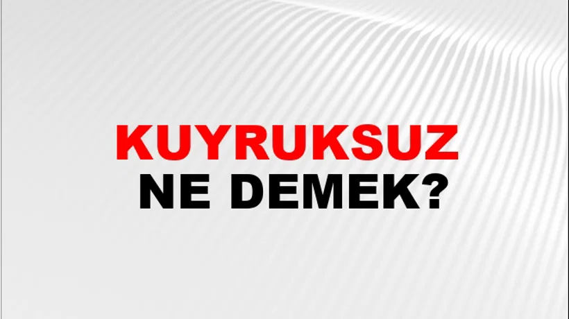 Kuyruksuz Kuyruksuz