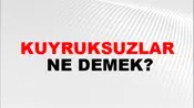 Kuyruksuzlar