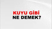 Kuyu Gibi