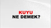 Kuyu