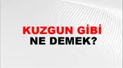 Kuzgun Gibi