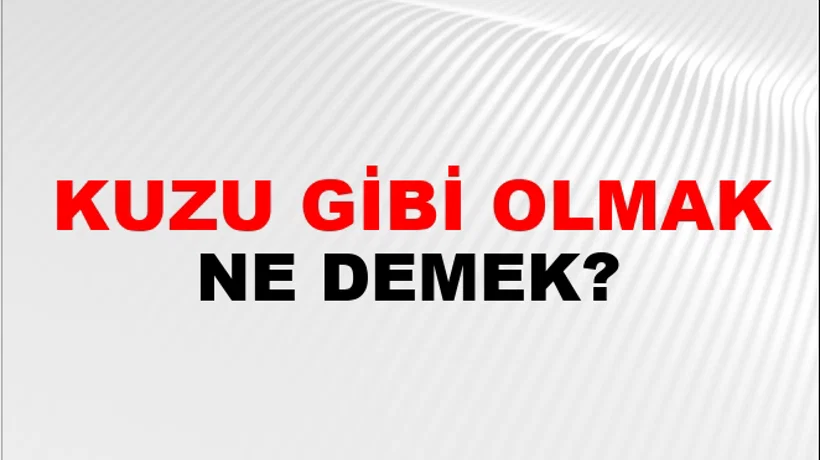 Kuzu Gibi Olmak Kuzu Gibi Olmak