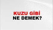 Kuzu Gibi