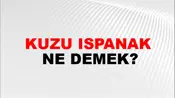 Kuzu Ispanak