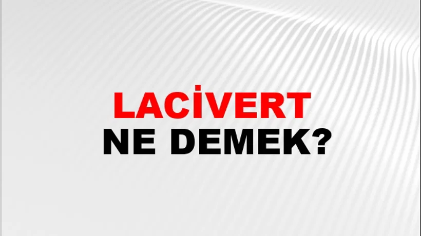 Lacivert Lacivert