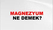 Magnezyum