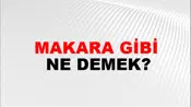 Makara Gibi