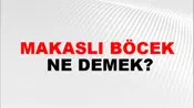 Makaslı Böcek